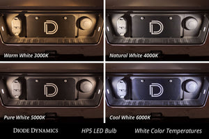 Diode Dynamics 194 LED Bulb HP5 LED - Cool - White (Pair)